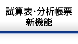 試算表・分析帳票　新機能