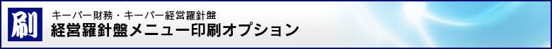 キーパー財務・キーパー経営羅針盤　経営羅針盤メニュー印刷オプション