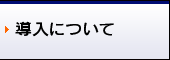 導入について