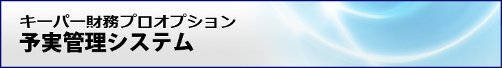 キーパー財務プロオプション　予実管理システム