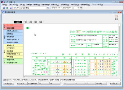 画像：個人事業者の青色申告決算書が作成可能