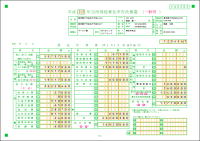 青色申告決算書