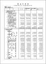 事業報告書(都道府県提出用)