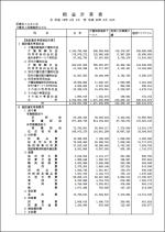 事業報告書（都道府県提出用）