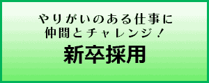 新卒採用